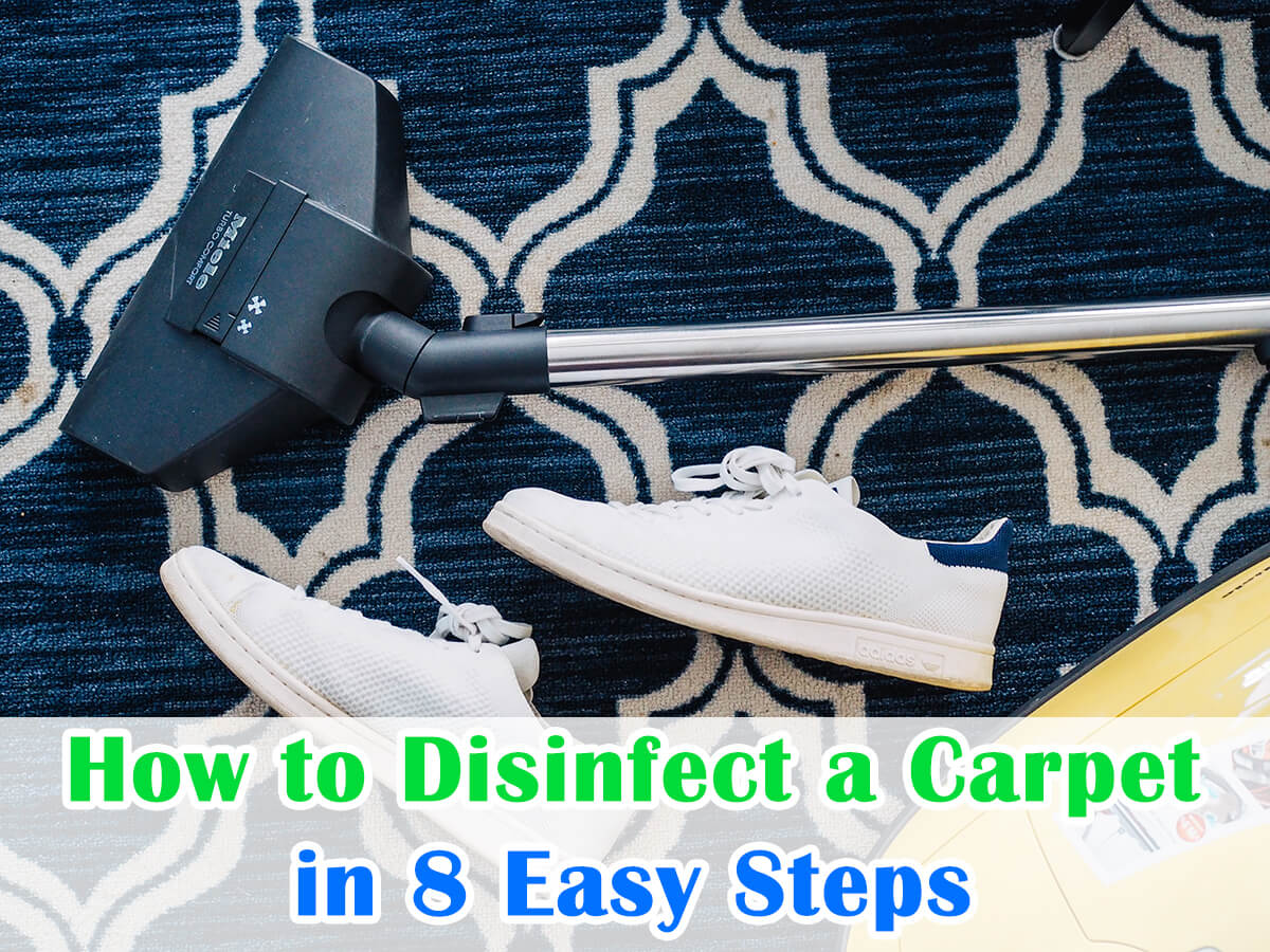 How to Disinfect a Carpet in 8 Easy Steps – House+Garden