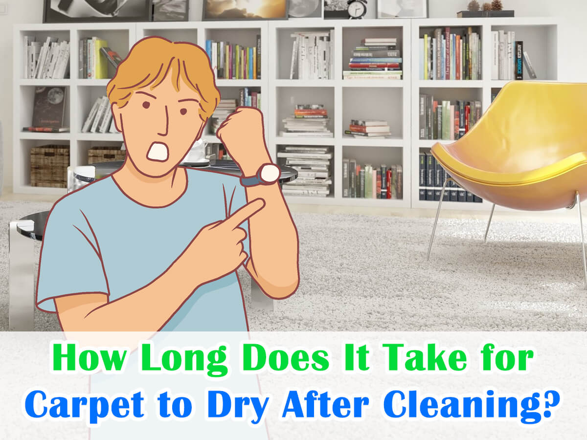 How Long Does It Take for Carpet to Dry After Cleaning