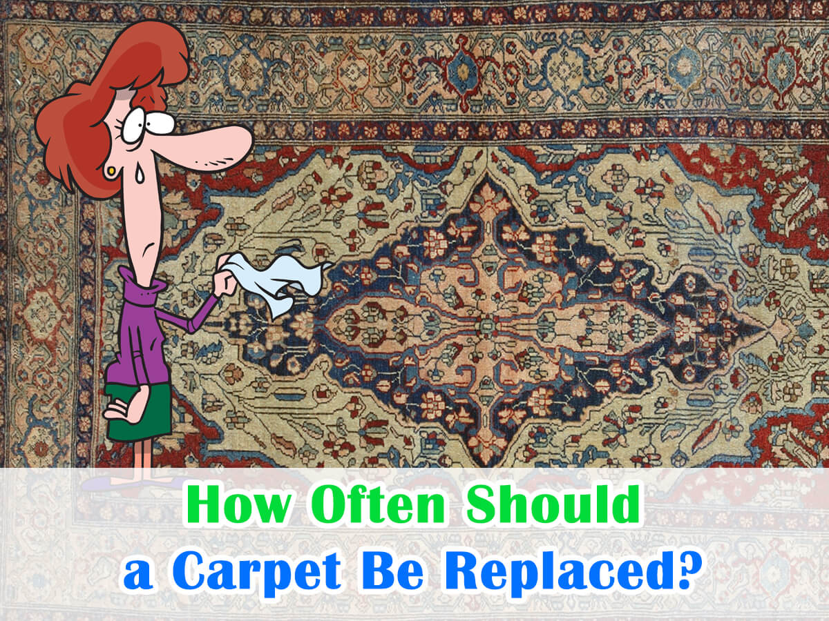 How Often Should a Carpet Be Replaced