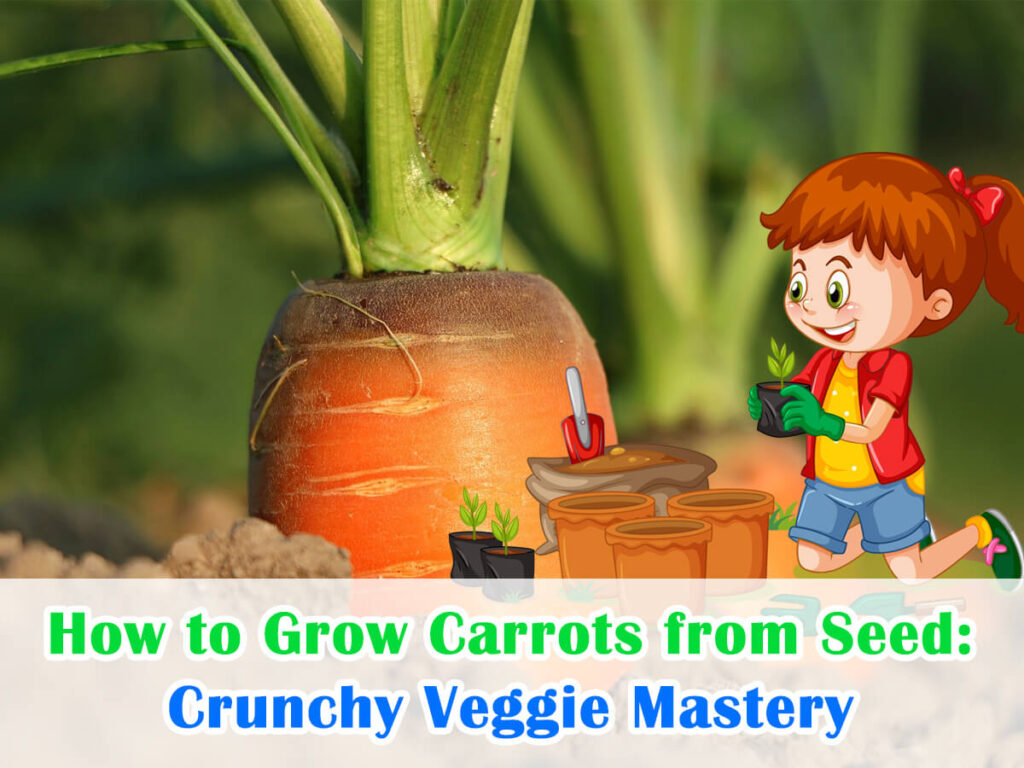 How to Grow Carrots from Seed Crunchy Veggie Mastery House+Garden